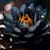 Black Lotus