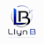 Llyn B