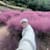 Iqhmal S