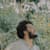 Dawud N