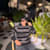 Rafan Razak
