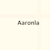 Aaronla