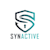 Synactive.co