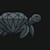 Diamond Turtle