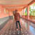 Phani G