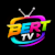 BERT AI TV
