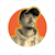 Gaurav R.