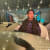 Aman