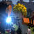 leogaa1603