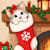 Kitty V