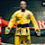 Flixpert Mma