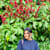 Tharni Sirisena