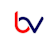 Brand V