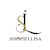 Shopifi L