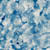 Striller Web