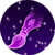 Daemmerpinsel