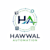 Hawwal T