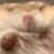 Cookie