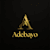Adebayo Steve