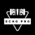 Echo P