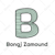 Bongj Z