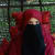 Afrin