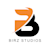 Birz Studios