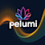 Pelumi B