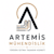 Artemis Enginee