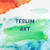 Teslim dArt