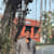 Ayush Y