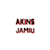 Akins J