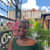 Irene Mburu