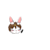 LunaChar