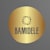 Bamidele D