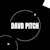 David Pitch