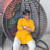 Rajesh K