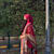 Shafia Shafeeq
