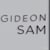 Gideon S