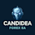 Candidea 