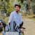 Thujeestark