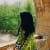 Mahnoor T