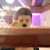 Syed Umar Alam