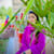 Arooj Fatima