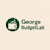 Georgebudgetlab