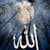 M hamza