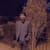 Izhar