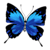 amirsiko