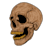 irvanrafsa