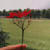 Aynammansoor